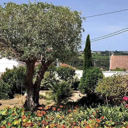 Kyrios Family With Private Pool Villa