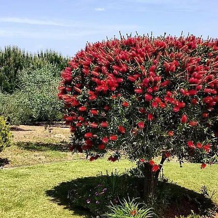 Kyrios Family 5p With Private Pool Villa