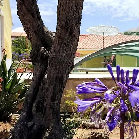 Kyrios Family With Private Pool * Carrascal (Leiria)