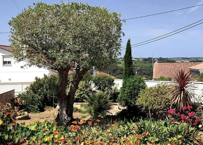 Kyrios Family 5p With Private Pool Vila