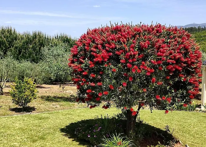 Kyrios Family 5p With Private Pool וילה