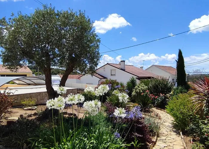 Kyrios Family 5p With Private Pool Vila *